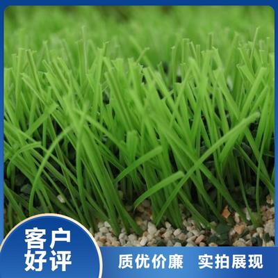 黑龍江省鶴崗市|工農(nóng)|蘿北|牡丹江|齊齊哈爾|哈爾濱|大慶|綏化PVC地板-友建(更新時間:2025-07-06 09:33:39)